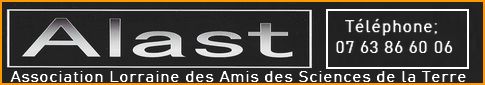 Minéraux,&nbsp;Insectes,&nbsp;Fossiles&&nbsp;bsp;